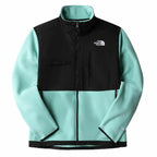 The North Face Delani Men's Jacket - Green