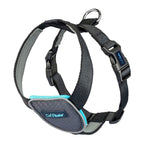 Hund Harness Company of Animals CarSafe Schwarz XS