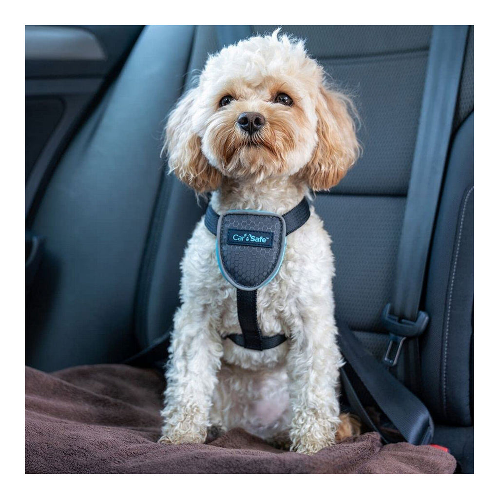 Hund Harness Company of Animals CarSafe Schwarz XS