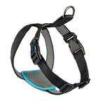 Hund Harness Company of Animals CarSafe Schwarz XS