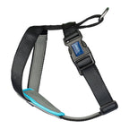 Hund Harness Company of Animals CarSafe Schwarz XS