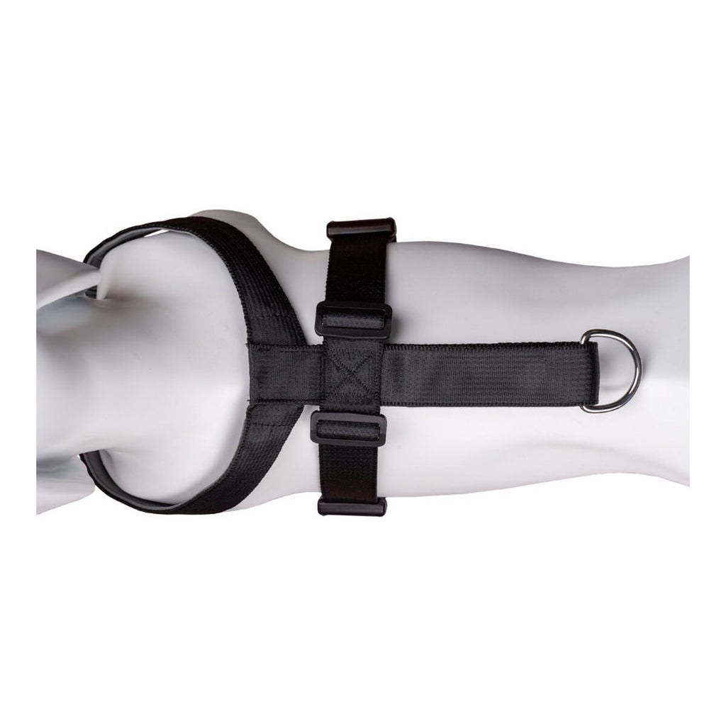Hund Harness Company of Animals CarSafe Schwarz XS