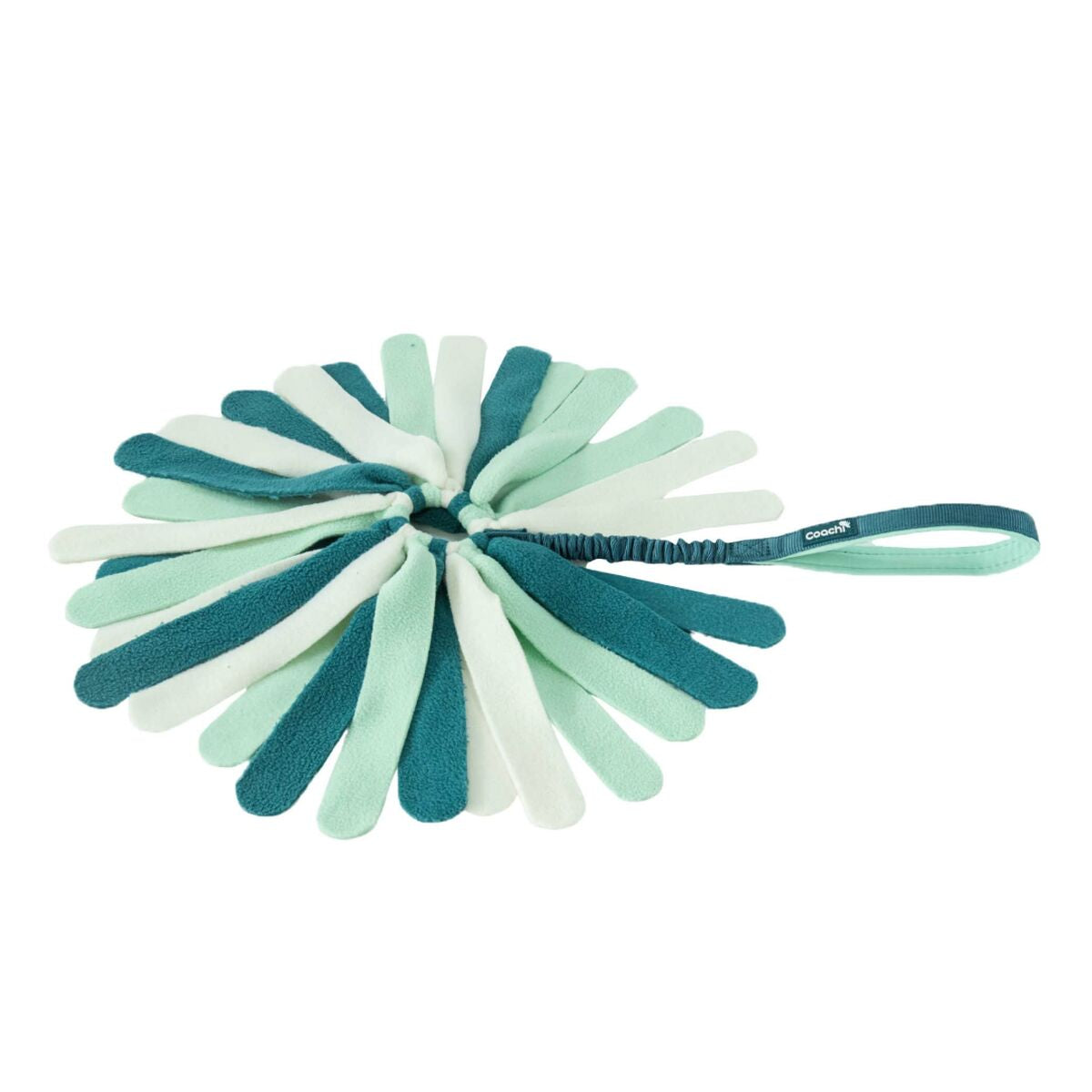 Hundespielzeug Coachi PUPPY & MINI TUGGI SPIDER Grün – Produktbild 1