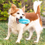 2-in-1 Kühlbar Kauspielzeug für Haustiere Glubiz InnovaGoods - BYAG.Tierbedarf > HundeInnovaGoodsBYAG.V010369784355278248222-in-1 Kühlbar Kauspielzeug für Haustiere Glubiz InnovaGoods