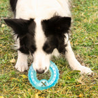 2-in-1 Kühlbar Kauspielzeug für Haustiere Glubiz InnovaGoods - BYAG.Tierbedarf > HundeInnovaGoodsBYAG.V010369784355278248222-in-1 Kühlbar Kauspielzeug für Haustiere Glubiz InnovaGoods