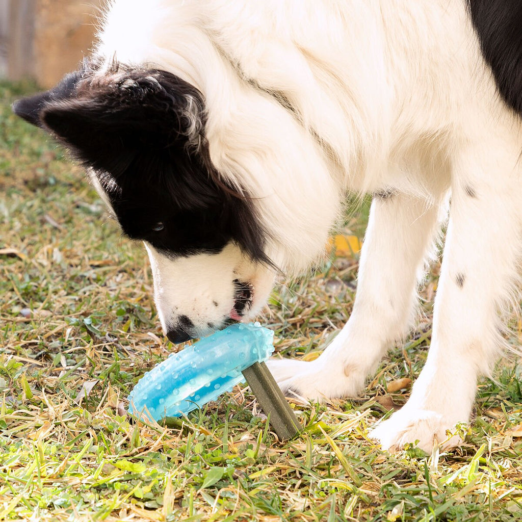 2-in-1 Kühlbar Kauspielzeug für Haustiere Glubiz InnovaGoods - BYAG.Tierbedarf > HundeInnovaGoodsBYAG.V010369784355278248222-in-1 Kühlbar Kauspielzeug für Haustiere Glubiz InnovaGoods