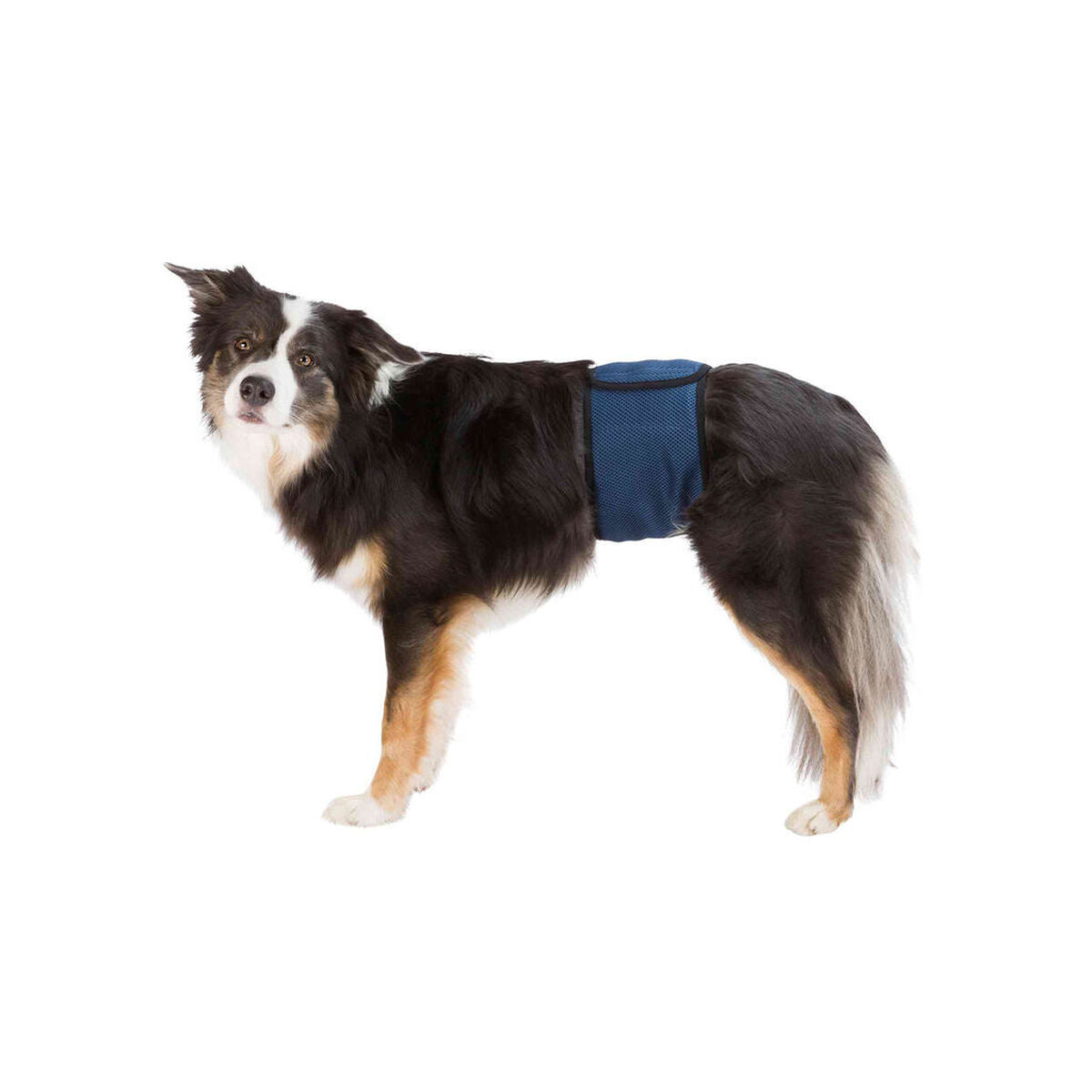 Incontinence Protector Trixie Male Plug Abdomen – Produktbild 1