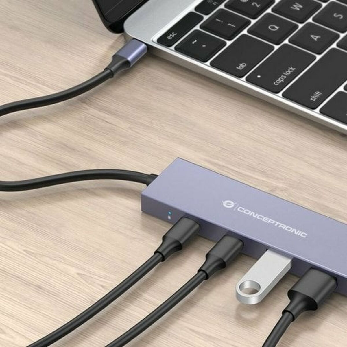 Conceptronic USB USB-Hub HUBBIES13G Grau