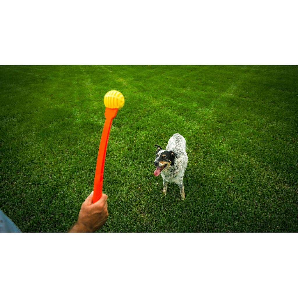 Hunter Ball Launcher für Hunde Gelb Orange Gummi Ball