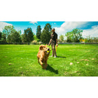 Hunter Ball Launcher für Hunde Gelb Orange Gummi Ball