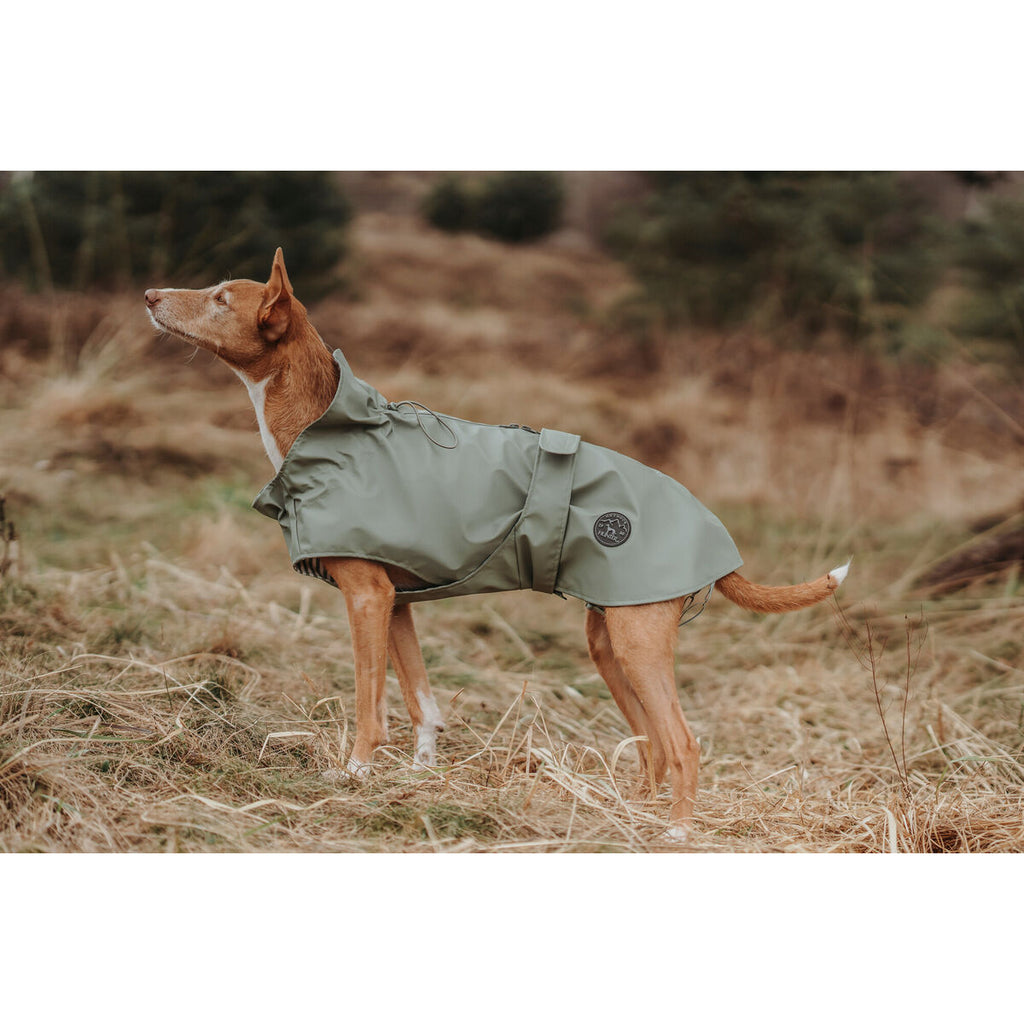 Hundemantel Hunter Milford Grün 25 cm – Produktbild 5