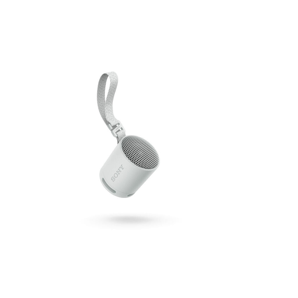 Sony Bluetooth-Lautsprecher SRSXB100H.CE7 Grau
