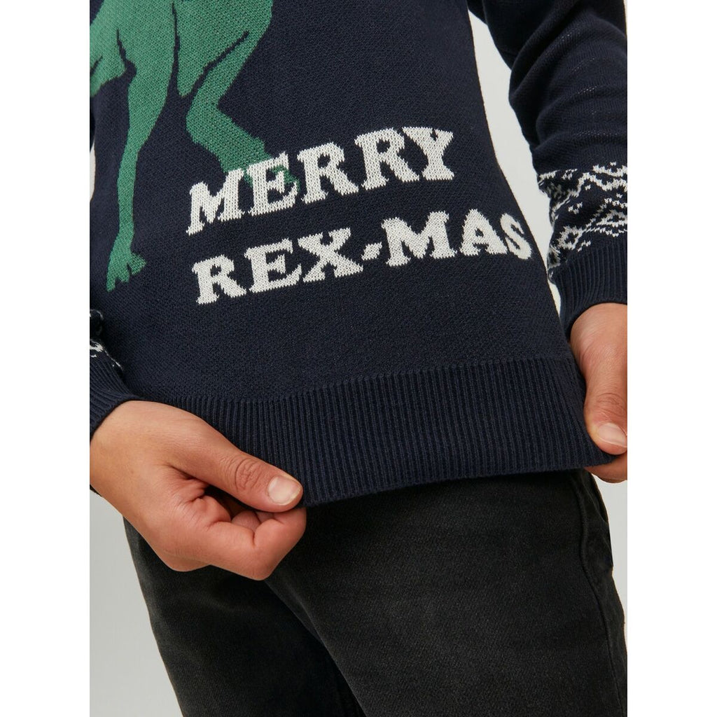 Jack & Jones Unisex Jumper T REX Dunkelblau