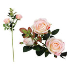 Stem of 5 Roses – Produktbild 2