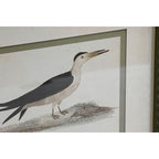 Home ESPRIT Bild Kristall Birch