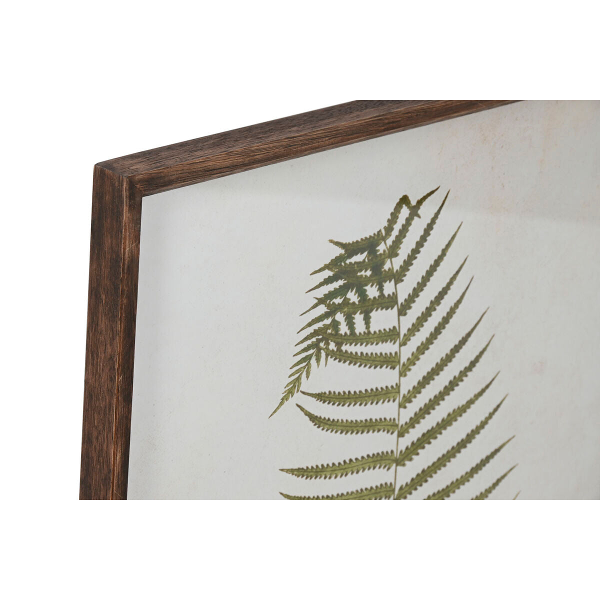 Home ESPRIT Bild Kristall Fir – Weiß