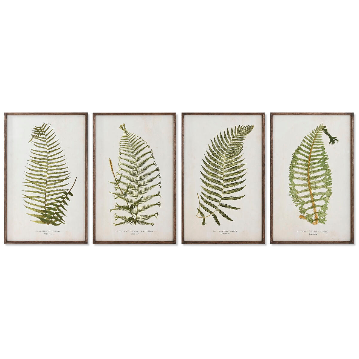 Painting Home ESPRIT Crystal Fir 45 x 2,5 x 70 cm – Produktbild 1