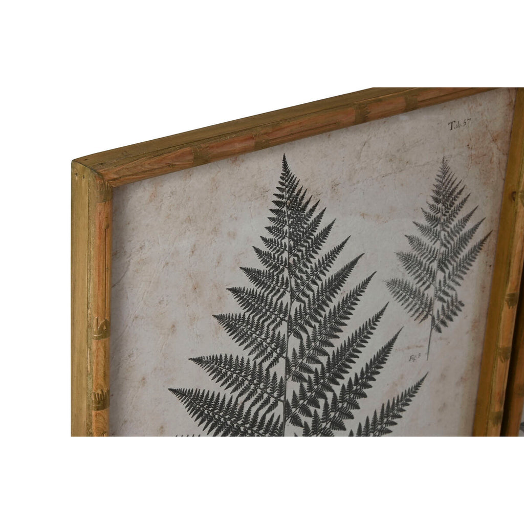 Home ESPRIT Bild Kristall Fir
