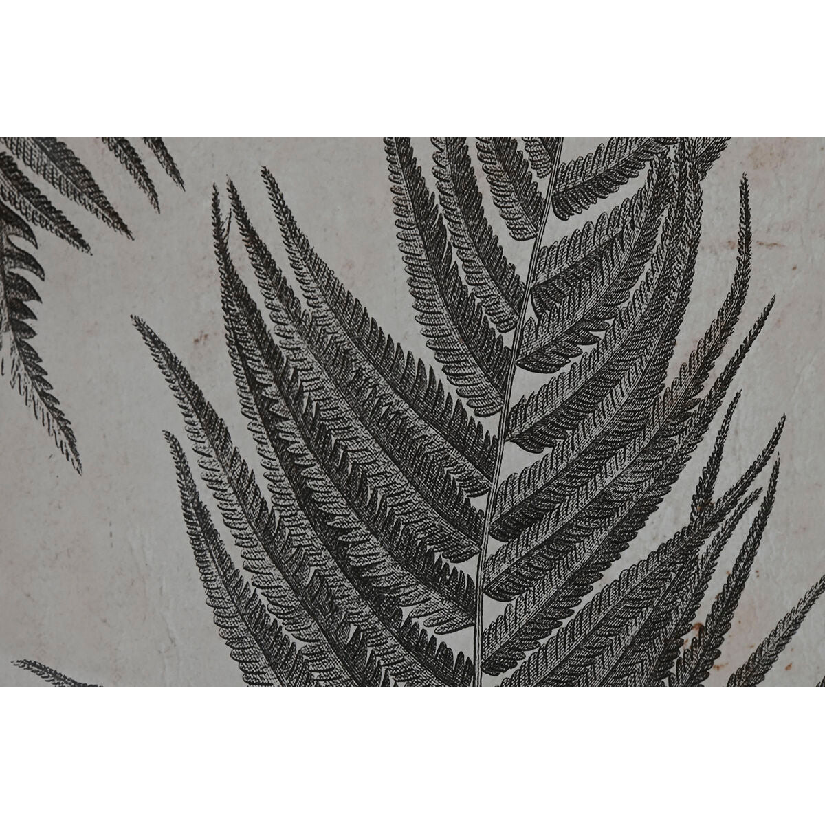 Home ESPRIT Bild Kristall Fir