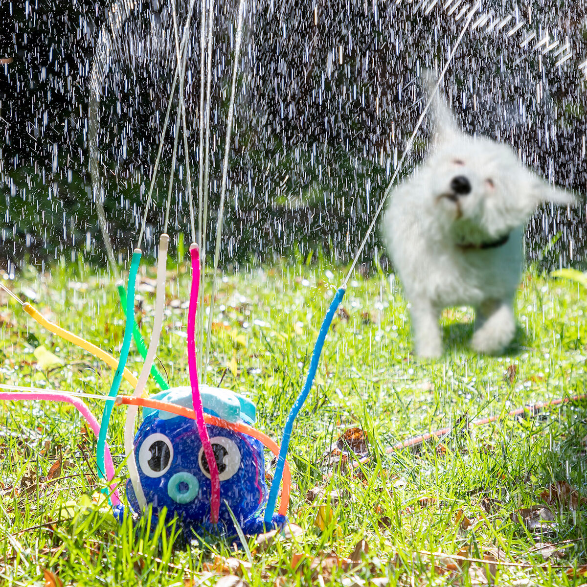Water Sprinkler und Sprayer Spielzeug Octodrop InnovaGoods