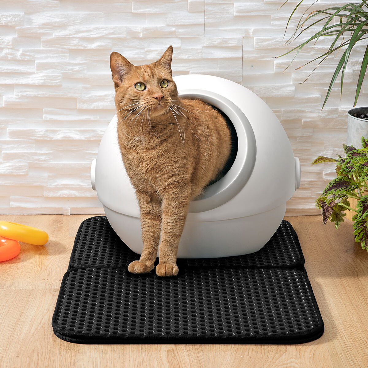 Katze Litter Tablett Matte Clikatt InnovaGoods