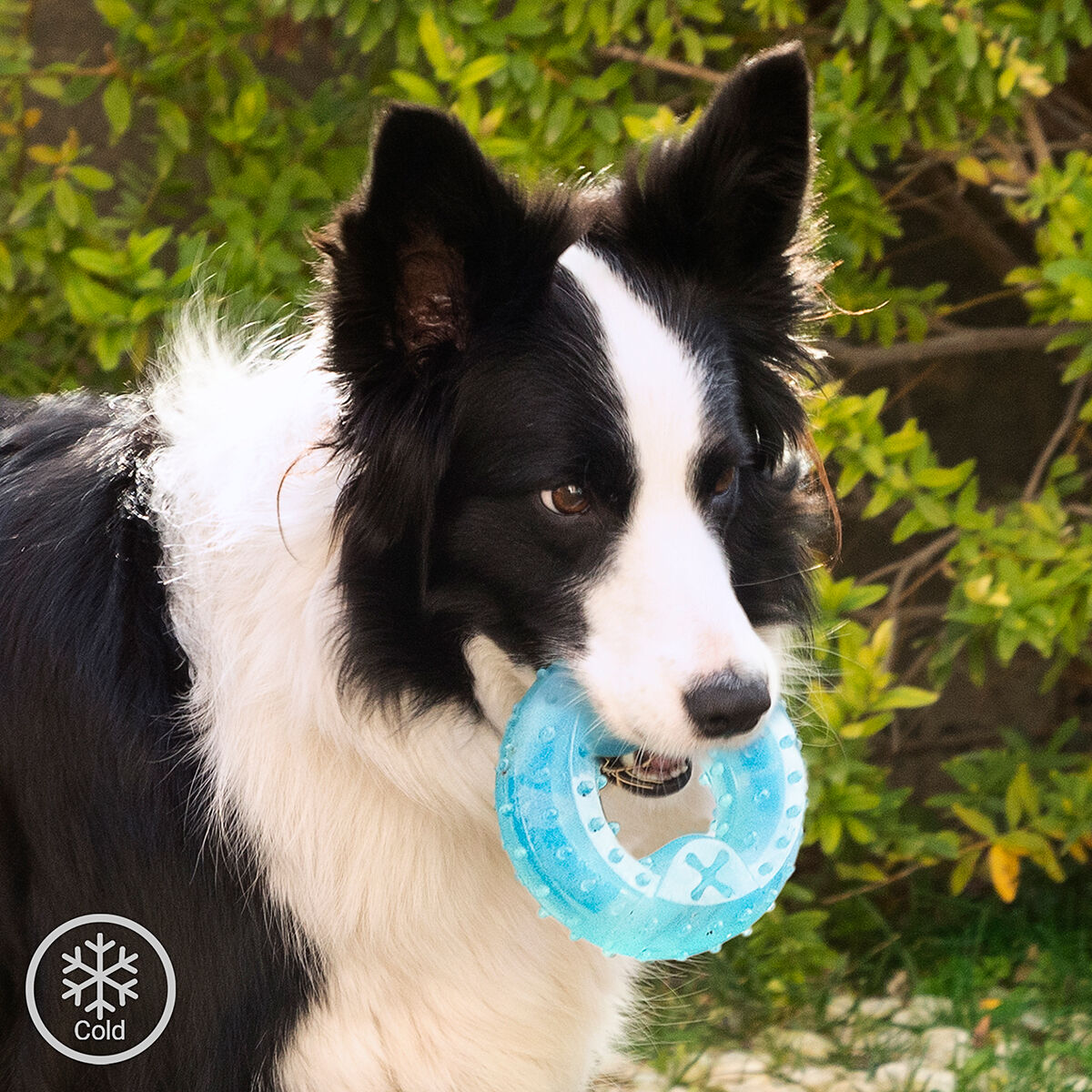 2-in-1 Freezable Pet Chew Toy Glubiz InnovaGoods – Produktbild 1