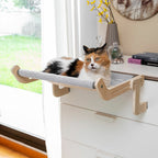 InnovaGoods Hanging Katze Hammock Hamacat