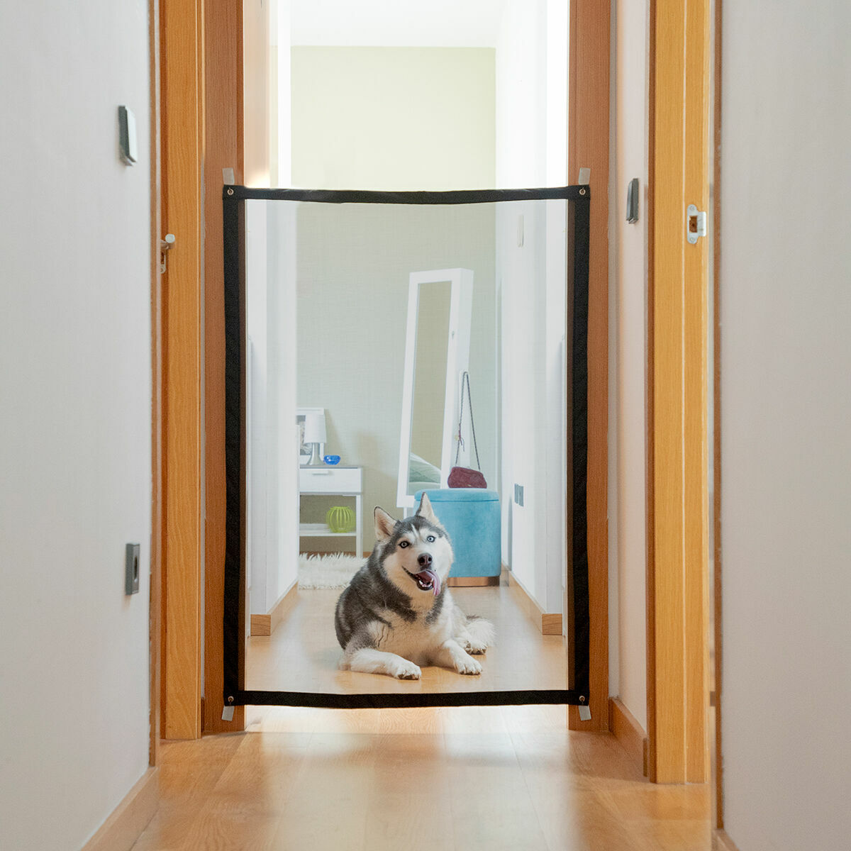 Sicherheit Net für Pets Petinu InnovaGoods