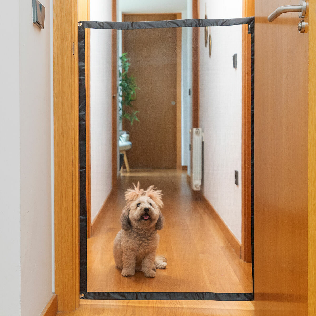 Sicherheit Net für Pets Petinu InnovaGoods