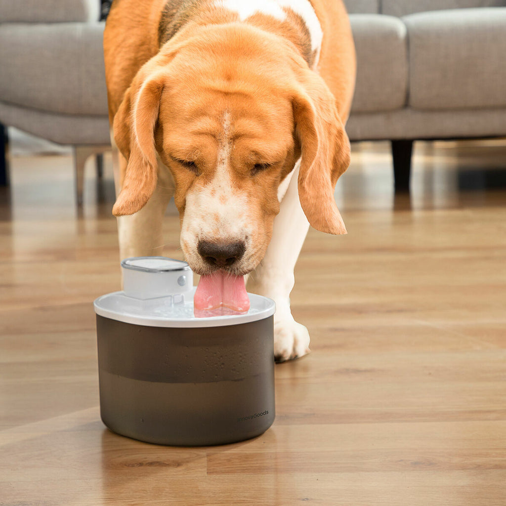 InnovaGoods Wiederaufladbar Katze Wasser Fountain mit Sensor Refopet