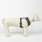Harry Potter Hundegeschirr Reversible Rot XS