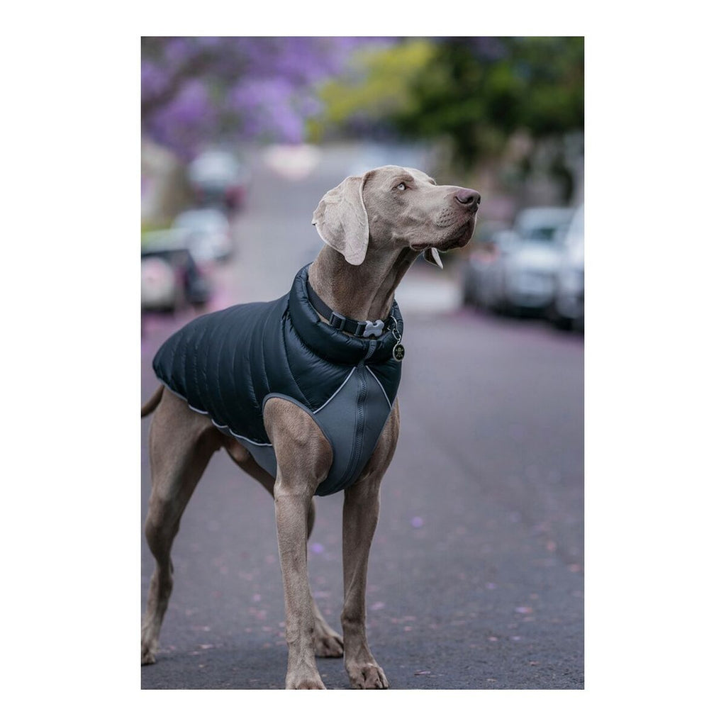 Rot Dingo Hundemantel Puffer Schwarz/Grau 25 cm