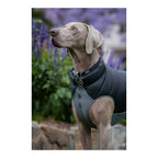 Rot Dingo Hundemantel Puffer Schwarz/Grau 25 cm