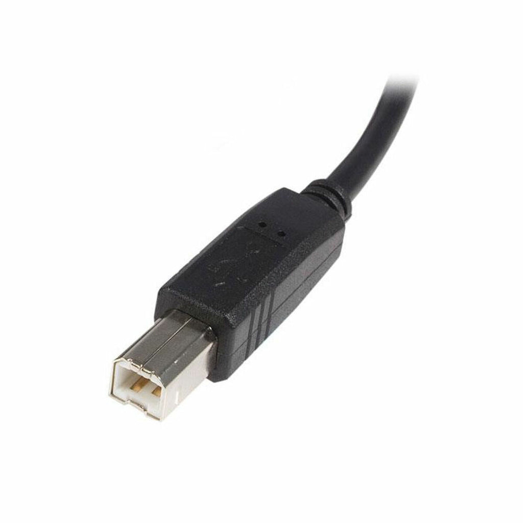 USB A to USB B Cable Startech USB2HAB5M Schwarz – Produktbild 2