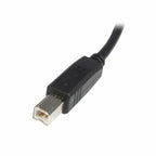 USB A to USB B Cable Startech USB2HAB5M Schwarz – Produktbild 2