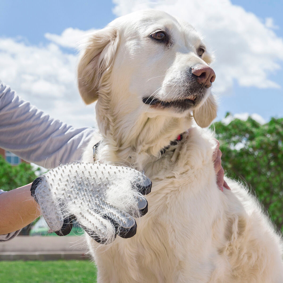 Pet Brush & Massage Glove Relpet InnovaGoods – Produktbild 1