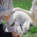 InnovaGoods Haustier Bürste & Massagehandschuh Relpet