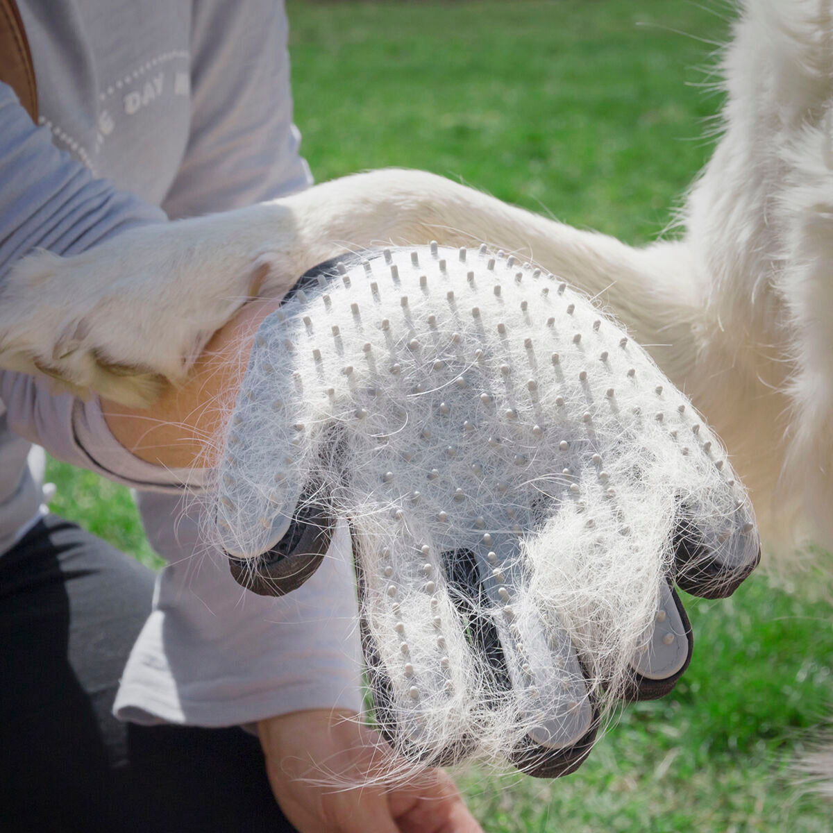 InnovaGoods Haustier Bürste & Massagehandschuh Relpet