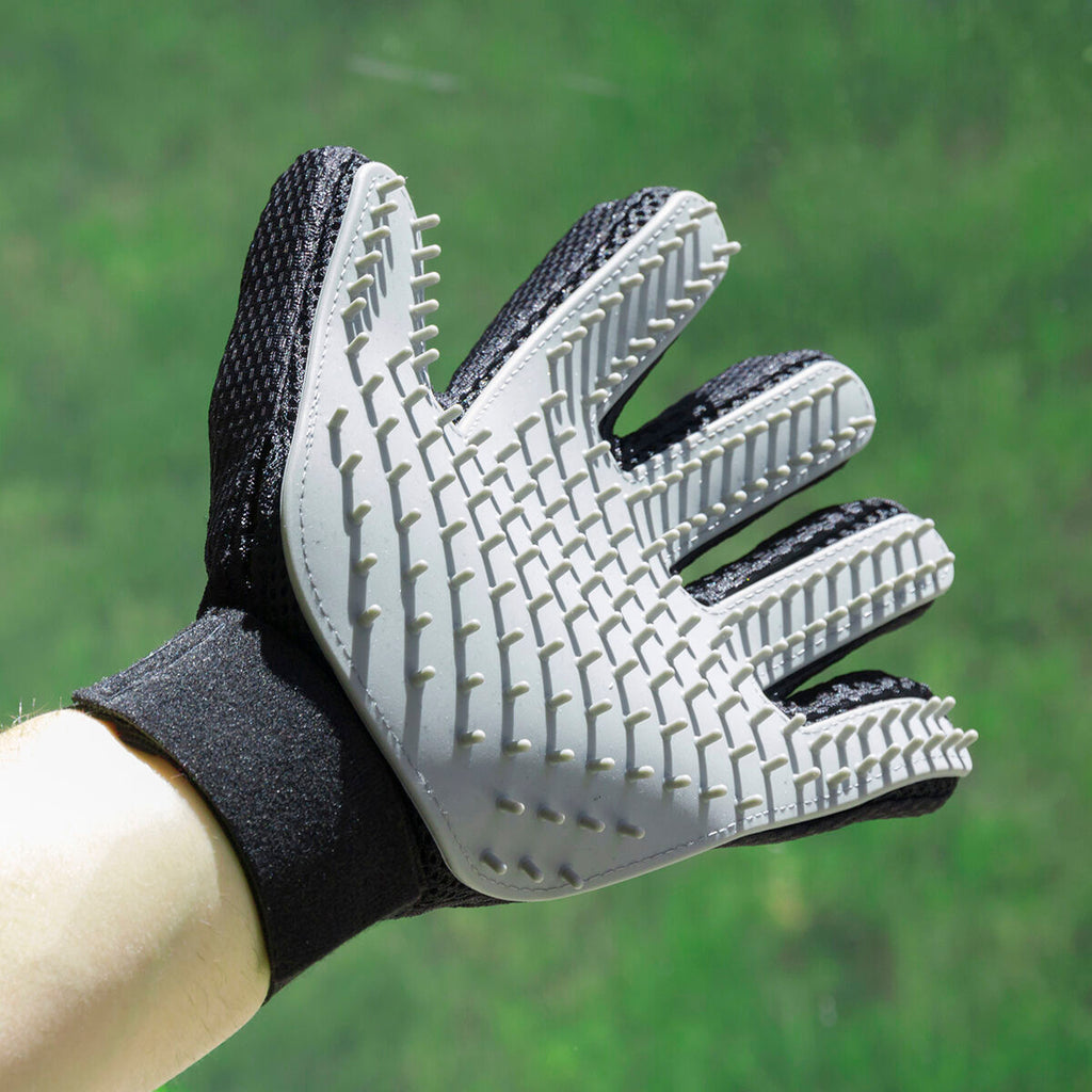 InnovaGoods Haustier Bürste & Massagehandschuh Relpet