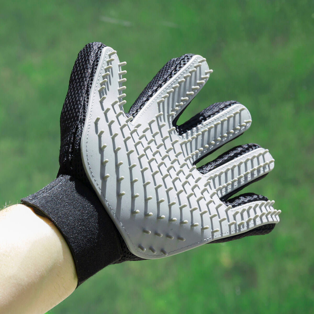 InnovaGoods Haustier Bürste & Massagehandschuh Relpet