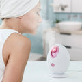 InnovaGoods Elektrisch Gesichts Sauna Moispa