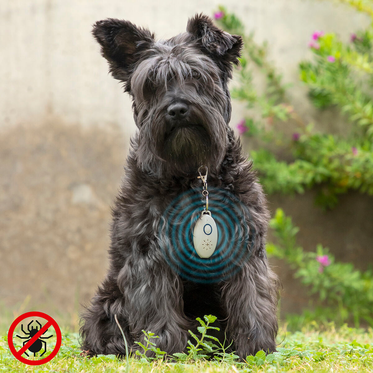 Wiederaufladbar Ultrasound Parasite Repellent for Pets PetRep InnovaGoods – Produktbild 1