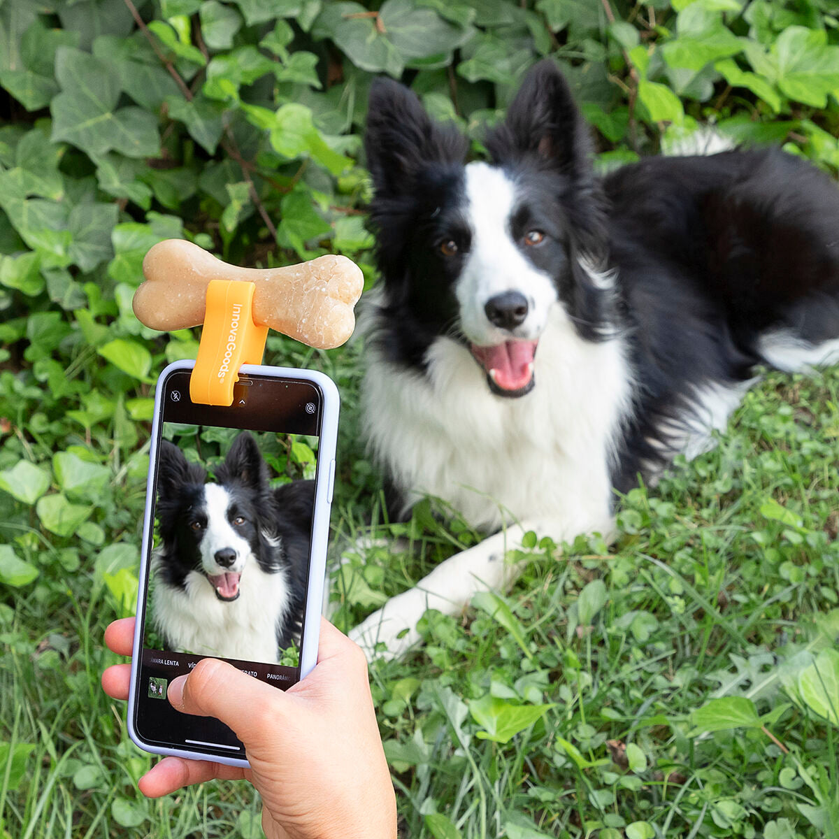 InnovaGoods Selfie Clip für Haustiere Pefie