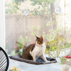 InnovaGoods Hanging Katze Hammock Catlax