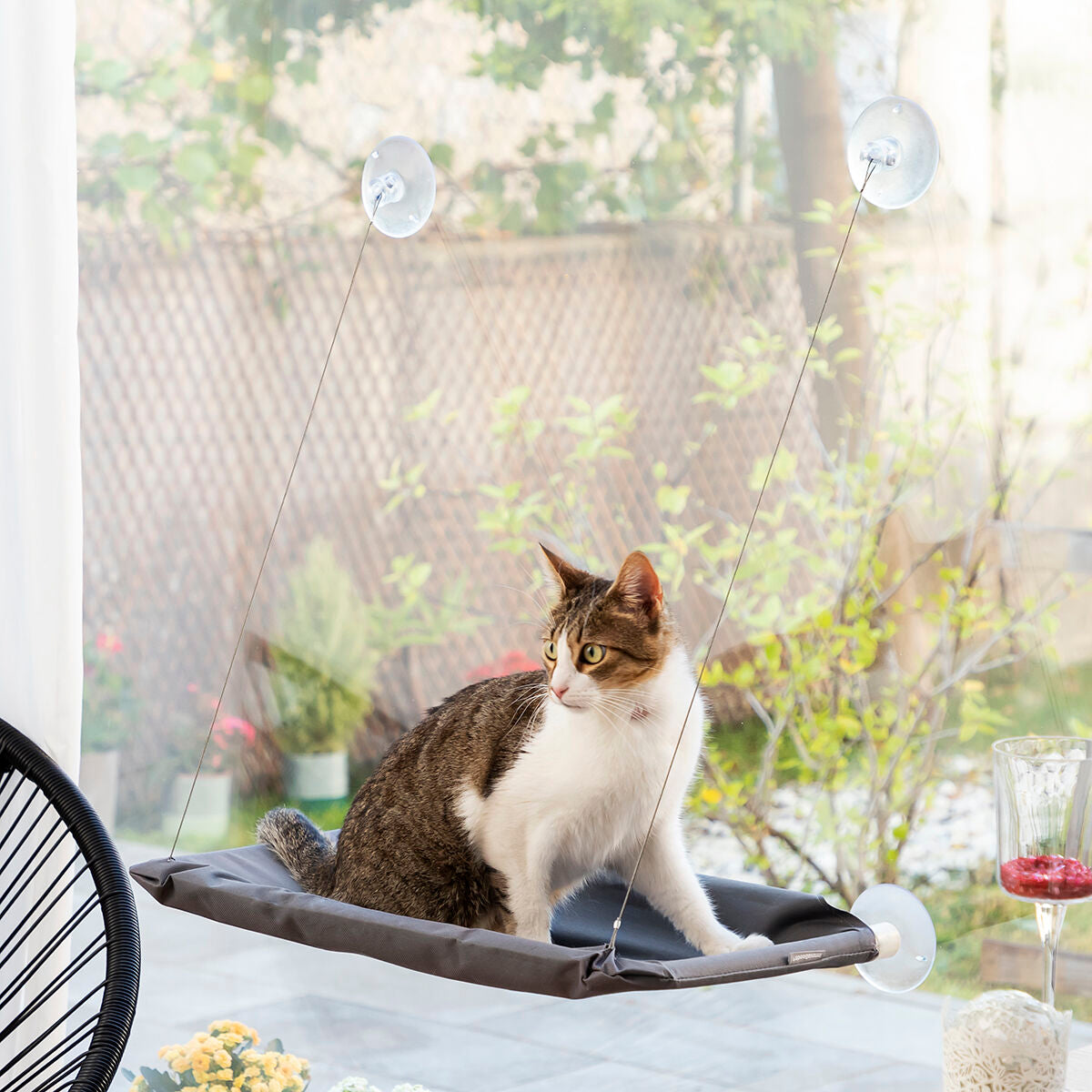 InnovaGoods Hanging Katze Hammock Catlax