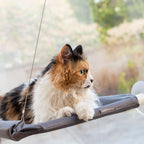 InnovaGoods Hanging Katze Hammock Catlax