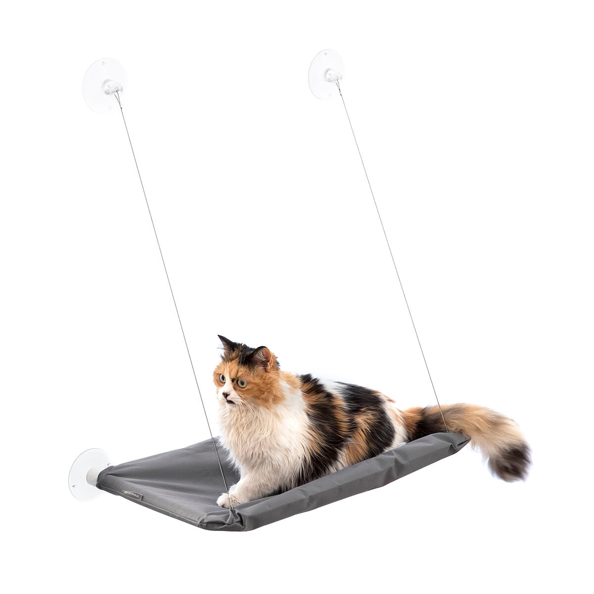 InnovaGoods Hanging Katze Hammock Catlax