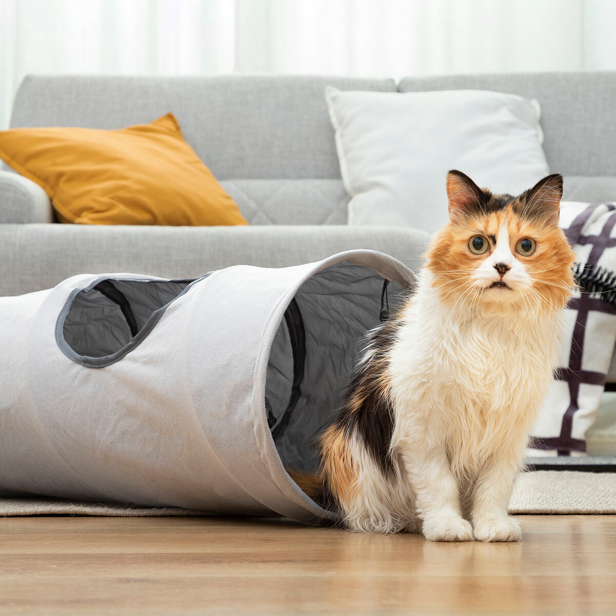 InnovaGoods Collapsible Haustier Tunnel Funnyl