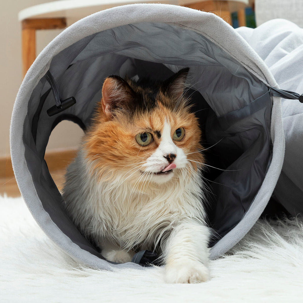 InnovaGoods Collapsible Haustier Tunnel Funnyl