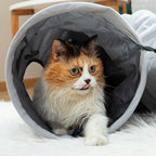 InnovaGoods Collapsible Haustier Tunnel Funnyl
